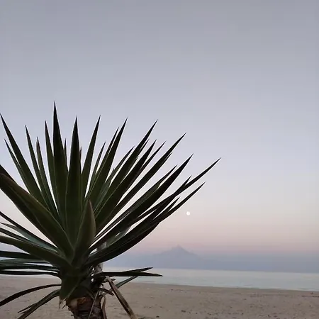 Asteria Apartmán *